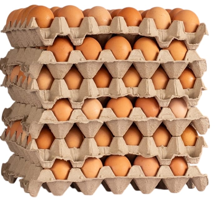 Cajax180 Und($231) Huevo Primera Color